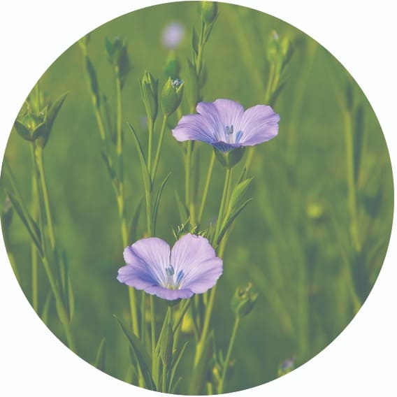 Вершина льняных тканей